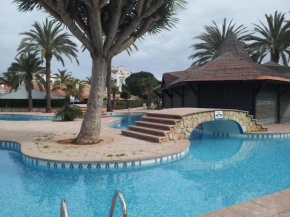Spacious, private beach house with 2 pools